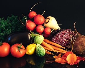 Grøntsager fra lokale producenter