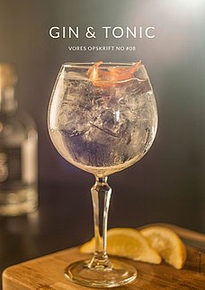 Den bedste gin og tonic fra Fary Lochan