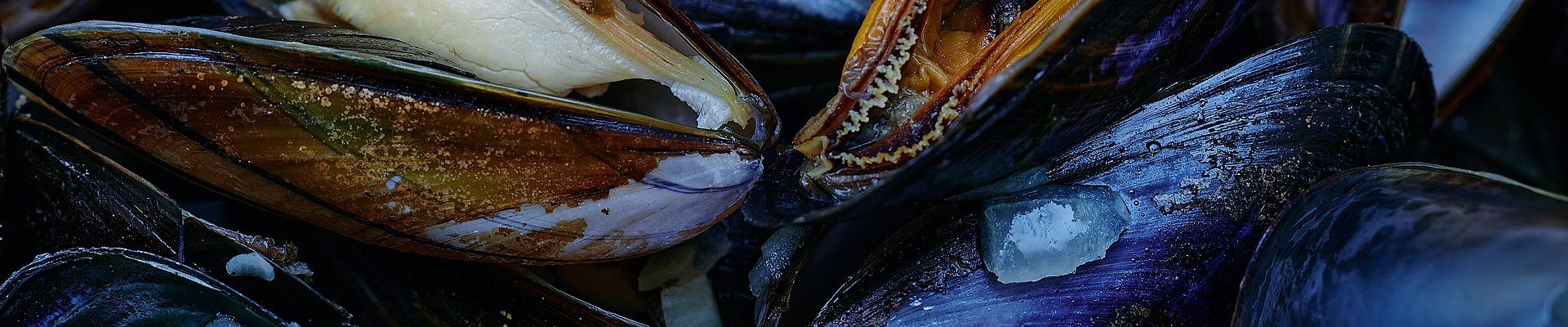 Hos Muslingeriet finder du Limfjordens lækreste muslinger