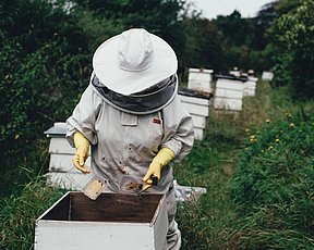 Nyd honning fra dit lokalområde